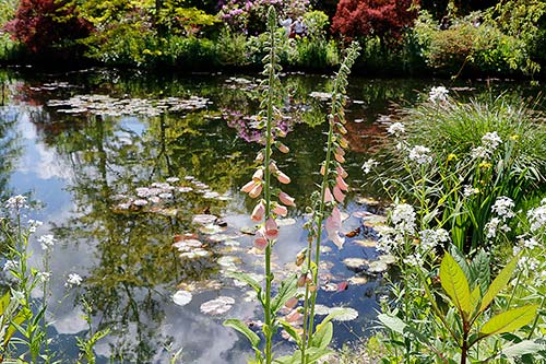 Jardin de Claude Monet img_4800
