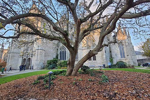 Eglise st Malo à Dinan sam_164154